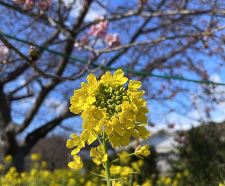 異性にモテるコツ教えます あなたの魅力UP、上手く相手に伝える事でモテる人になろう イメージ2