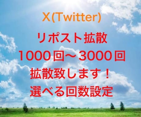 Xのリポスト1000回増加させます 即日対応。複数購入で割引有り！ イメージ1