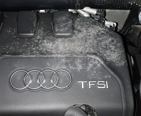 車に侵入するイタチ撃退ノウハウ教えます。ます エンジンルーム等が汚れてボロボロになる前に是非！ イメージ1