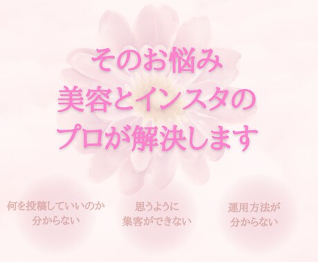 美容サロンインスタ運用サポートします 一ヶ月後には1人で運用できるよう全力サポート！ イメージ2