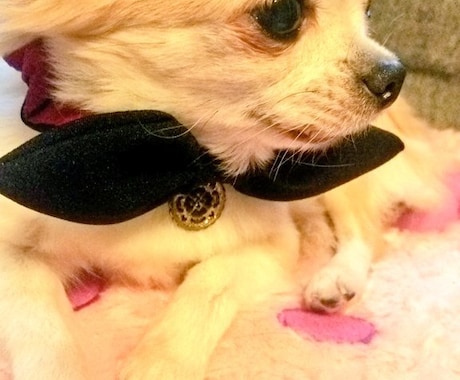 恋愛友人関係の相談、愚痴の吐き出し応援します すっきりさせて寝ましょう…！メンヘラヤンデレ気持ちわかります イメージ1