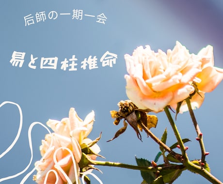 四柱推命と易でご相談を承ります 鑑定歴25年の経験で、あなたの悩みに進むべき道を見つけます イメージ1