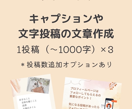 Instagramのライティングを代行します Webライターがあなたの商品・サービスの魅力をお伝えします イメージ2