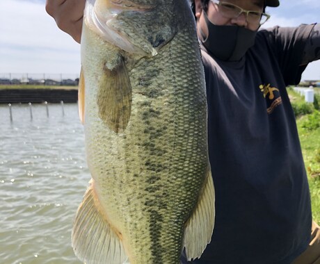ブラックバスフィッシングの釣れる技術を伝授します ブラックバス釣りのプロが魚の釣り方やノウハウを伝授します。 イメージ2