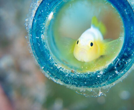 自分の気持ちが分からない！？迷子の心に寄り添います ☆愛と癒しの霊感タロット☆本心に気付き幸せな未来へ☆ イメージ1