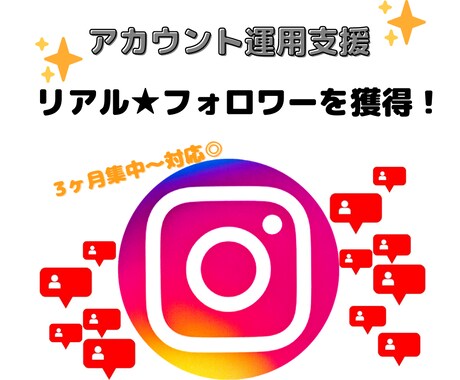 極上リアル！国内アカウント★フォロー支援します 3ヶ月集中コース～♪お試しキャンペーン価格！ イメージ1