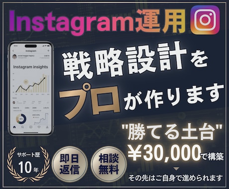Instagram運用の戦略設計をプロが作ります ビデオチャットで相談しながらアカウント土台を整えます！ イメージ1