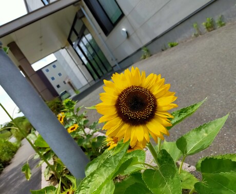 60分集中トーク！LINE感覚で相談できます LINE感覚で相談できます オールジャンルで対応します イメージ1