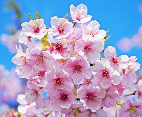 2人だけの内緒話しましょ★なんでもお話します 暇つぶしでも、寂しい時でも、気楽に♪待ってますね イメージ2
