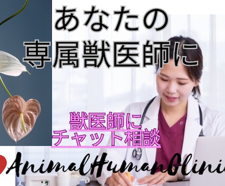 チャットで獣医師に相談できます いつでもどこでも気軽に獣医師チャット相談！ イメージ1