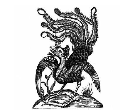 フェネクスを召喚し子宝の流れを読み解決策を授けます 使役している悪魔フェネクスがあなたを子宝に恵まれる未来へ導く イメージ1