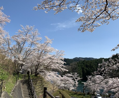 写真を綺麗に加工します 人の肌や思い出の一枚をより綺麗に仕上げ、不要物の除去なども。 イメージ1