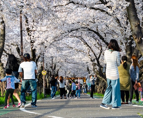 名古屋市内どこでもキレイな写真を撮って送ります なかなか外出できないあなたの代わりになんでも撮ってきます イメージ1