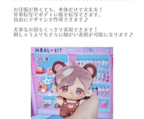 昇華転写で高発色！オリジナルぬいぐるみ作ります 他にはないあなただけのぬいぐるみを作りませんか？ イメージ2