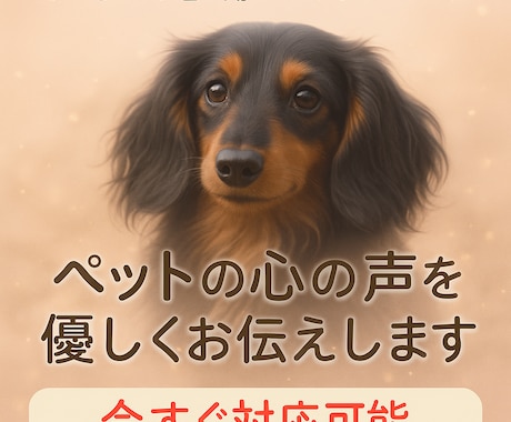大切なペットとの絆を整える魂のリーディング致します 虹の橋の子も、今そばにいる子も心がほどける対話をします。 イメージ2