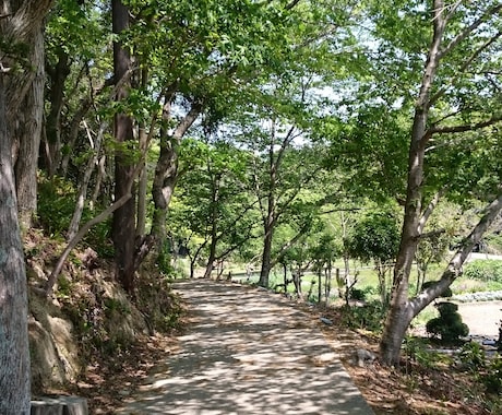 経験豊富な作業療法士が相談に乗ります 仕事、恋愛、子育て、社会の荒波に疲れた方へ イメージ2