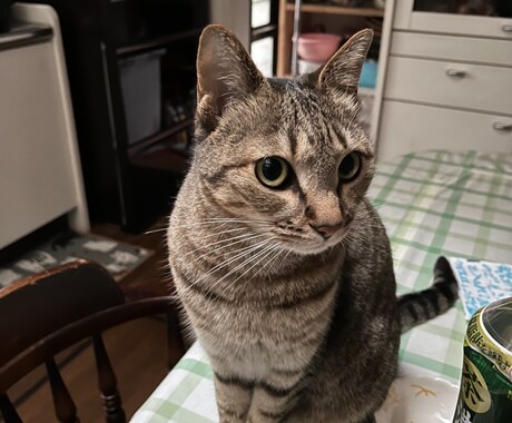 過去に病院に行くほど鬱になっています 今辛いひと、苦しい人、いつでも相談してください。 イメージ1