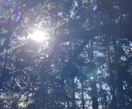 心のもやもや、お悩み、愚痴、世間話うかがいます 親しみやすさ１００％、ゆったりカウンセラー イメージ2