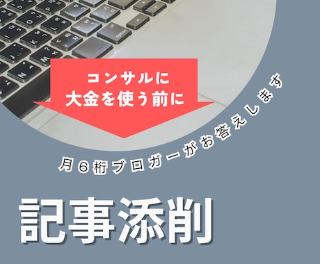 1記事からOK！ブログの記事添削をします 月6桁ブロガーがていねいに添削・解説します！ イメージ1