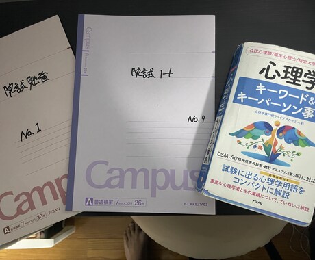 心理系大学院を目指す人のお手伝いをします 現役心理系大学院生が大学院受験をサポートします！ イメージ1
