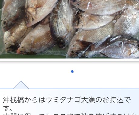 東京湾、横浜、護岸、海釣り公園　秘密釣り方教えます なんでこんなに釣れるの？GOGOフッシング イメージ1