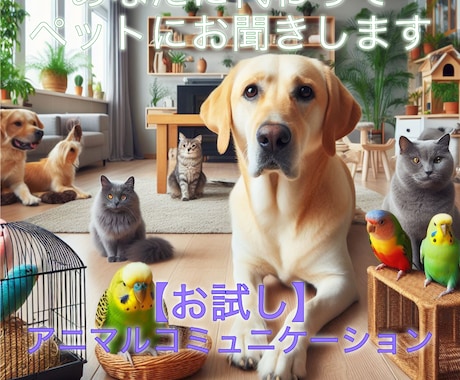 お試しプラン★あなたに代わってペットにお聞きします ペットの気持ちを知りたい、亡くなった子と話したい方通訳します イメージ1