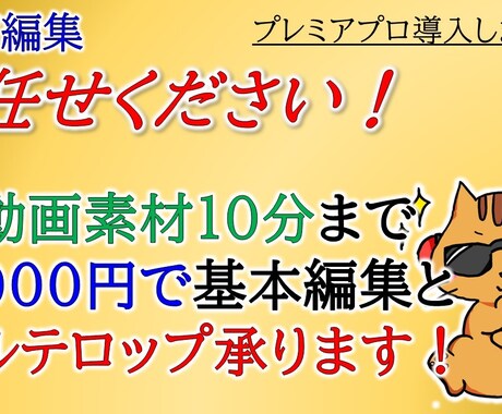 丸投げOK♪動画編集代行承ります 可能な限り迅速に、そして満足して頂けるよう一生懸命作業します イメージ1