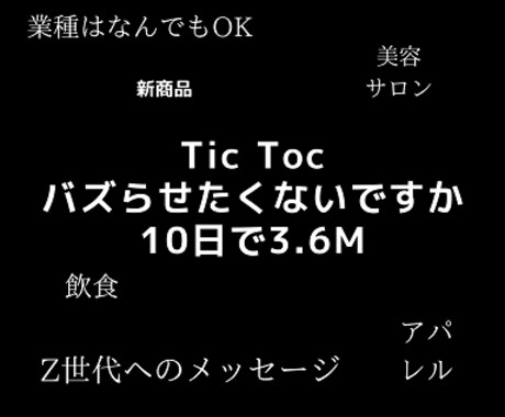 SNSコンサルティングTic Tokでバズらせます Z世代へのTic Tokでのマーケティングを成功に導きます。 イメージ1