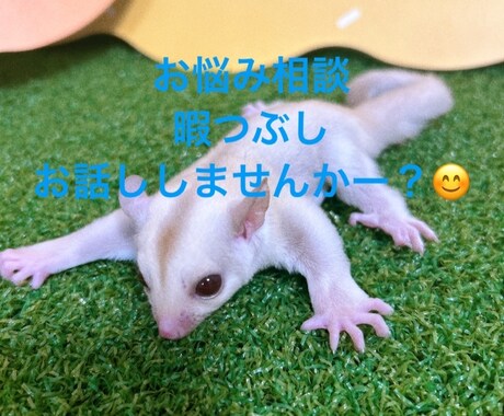 愚痴！暇つぶし！相談！なんでも聞かせて頂きます 誰かと話したい！寂しい！そんな時に使ってください！ イメージ1
