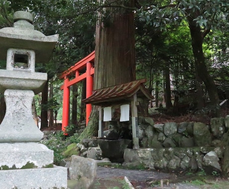 京都とその周辺の撮影代行を行います 神社仏閣はじめとした風景写真を、欲しいアングルから イメージ1