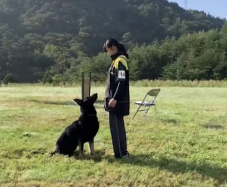 愛犬と過ごしやすくなるサービスを提供します 愛犬の飼い方や、問題行動に関するヒアリングを行います。 イメージ1