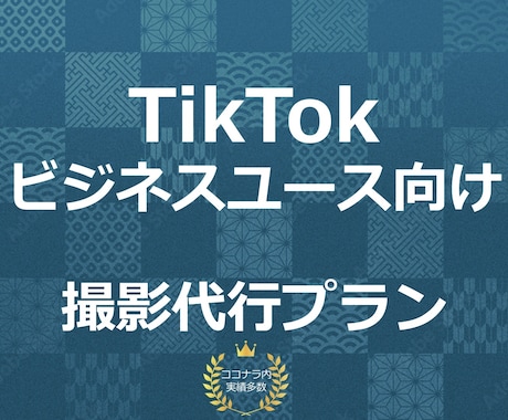 撮影から運用まで! TikTok運用行います 【ビジネスユース専門】収益を見越したTikTok運用! イメージ1