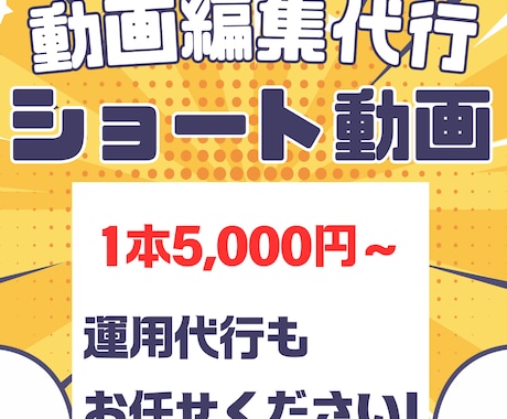 チームで丁寧に高品質ショート動画を1本作成します YouTube・TikTok・リール対応！戦略的に制作します イメージ1