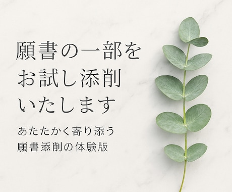 願書の一部をお試し添削します 幼稚園・小学校受験受験の願書作成お助けします イメージ1
