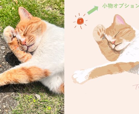 迅速納品！ペットの個性が溢れたイラストを作成します 獣医師希望水族館飼育員が命を吹き込むゆるふわペットアート イメージ2
