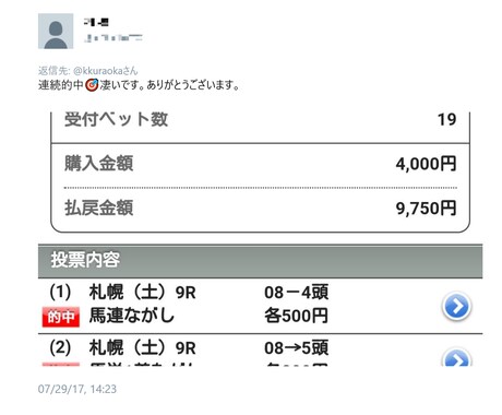 中央競馬有馬記念能力指数表を配信します 12月24(日)有馬記念能力指数表 イメージ2