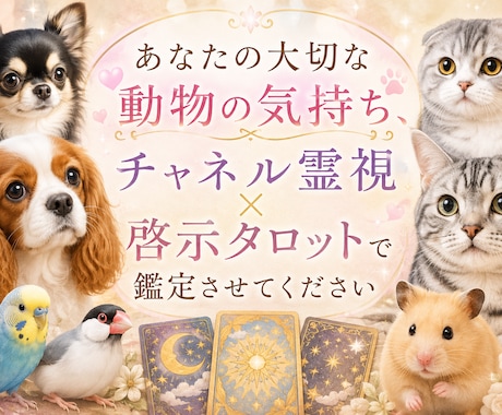 貴方の大切な動物の気持ち占います 西洋タロットでチャネリング霊視鑑定致します イメージ1