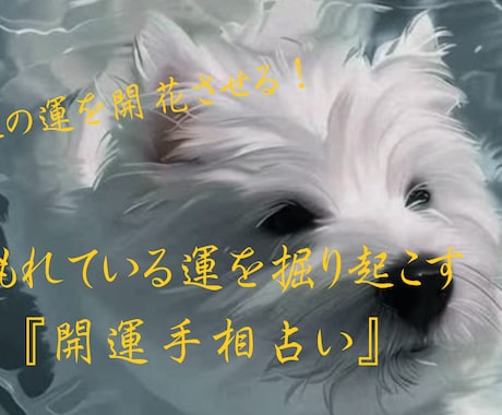 手相を見て、恋愛運、金運、仕事運などを占います あなたの埋もれた運を掘り起こす開運手相占い イメージ1