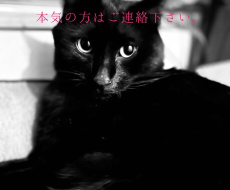 自分改革のお手伝いをします 豊富な経験を武器に変わりたいあなたを全力サポート イメージ1