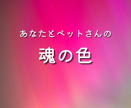 あなたとペットさんの魂の色から“絆”を読み解きます 出会った意味、愛、想いを、双方の魂の輝きから読み解きます イメージ1