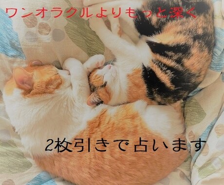 ワンオラクルよりもっと深く占います 2枚引きして、私とあの人　今日と明日　yes/No　を占おう イメージ1
