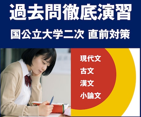 国公立大学二次試験 国語記述、小論文の対策します 国語、小論文のプロ講師が、あなただけの国公立二次対策します！ イメージ1