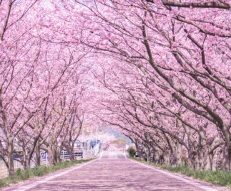 気軽に派遣の本音♡不安グチその他話して軽くなります ふわふわボイスに包まれて♡臨床心理士があなたを全力で癒します イメージ2