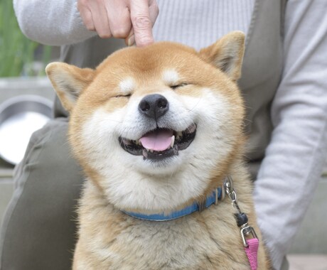 元不登校相談員！お話聞きます 辛いもやもやを吐き出せる第三者になりたいです。 イメージ2