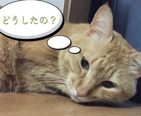 アラサー男が愚痴、相談、悩み、何でも聞きます 誰にも言えない悩みも日頃の愚痴も秘密厳守で イメージ1