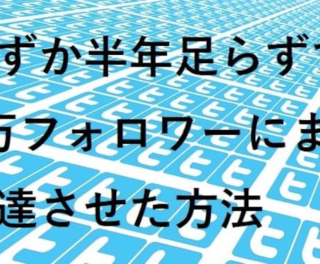 Twitterのフォロワー増やす方法を教えます Twitter初心者の方でも頑張れば、1万人獲得可能ですよ。 イメージ1