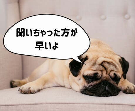 犬猫の病気の相談、オンラインで乗ります 動物病院に行く前・行った後に、気軽に相談できる獣医師サポート イメージ2
