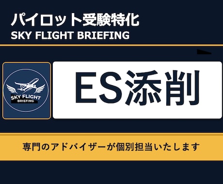 パイロット受験ES添削:特定の1問を徹底添削します イメージ1