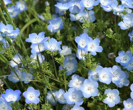 あなたの自己肯定感を高めます いつも頑張っているあなたに寄り添います イメージ2