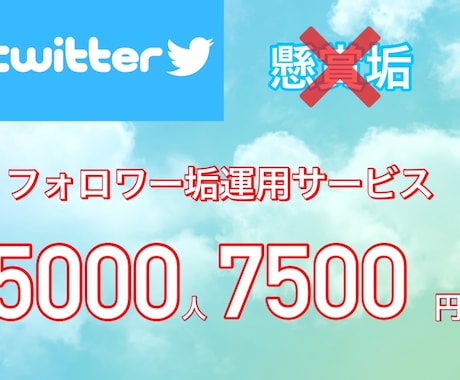 Twitterフォロワー増加5000人～増加します 先着5名様限定価格！7500円で垢運用して引き渡します！